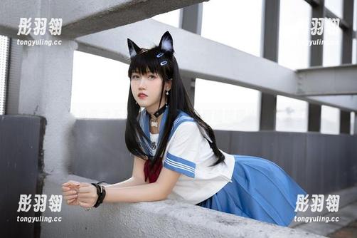 精选泳池照之不呆猫，终于见识到猫咪喝水的新姿势！