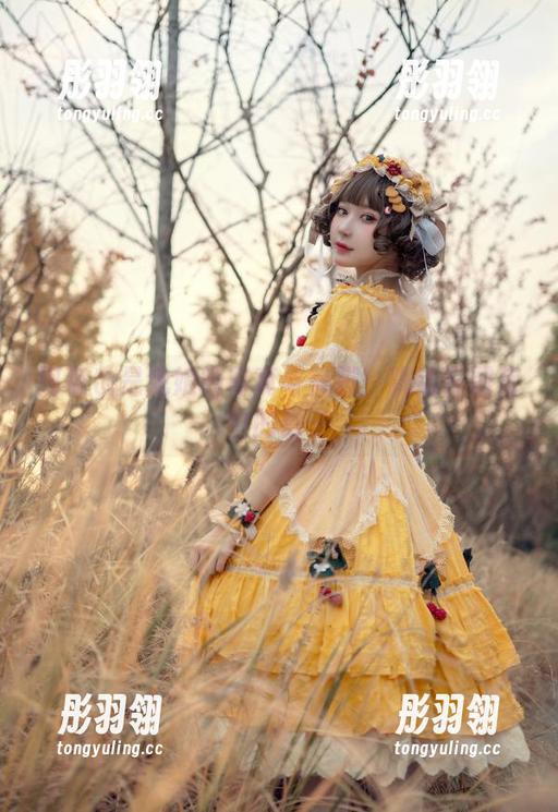阿包也是兔娘的写真与美脚：跳动在图库中的影子